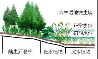 资讯︱山水园林城市的国土空间生态修复