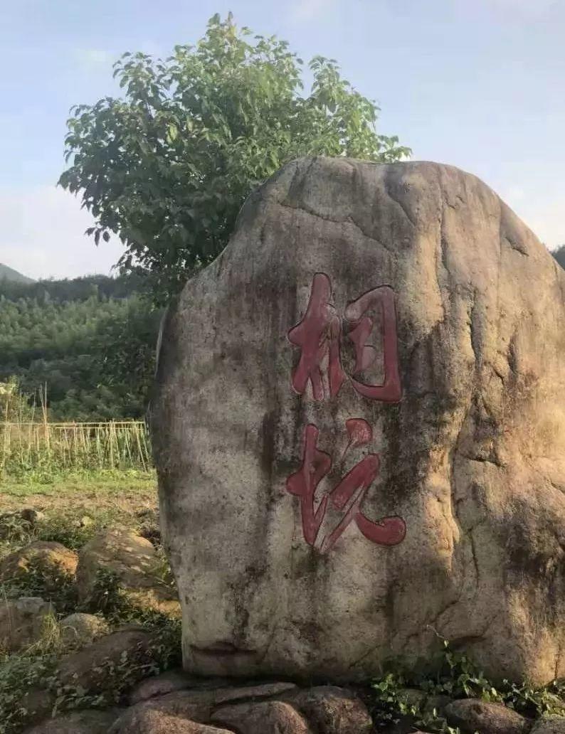 【徽州古道39】绩溪竹岭古道(上)：徽杭之间现存最完好的古道