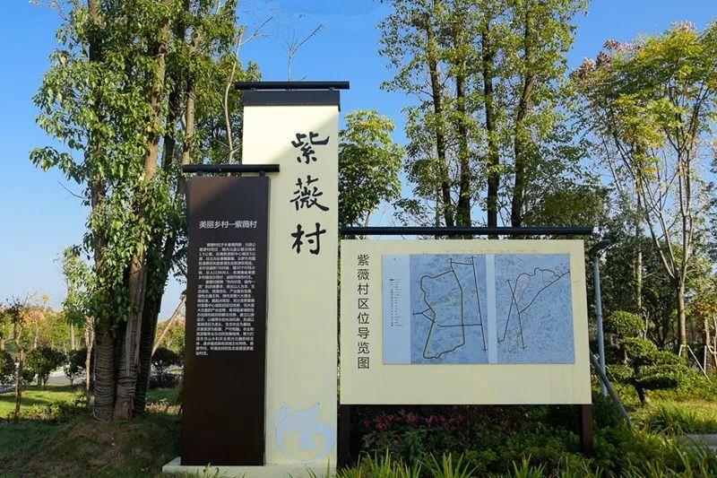 风向︱助力乡村振兴，紫薇村“多规合一”村庄规划推进会顺利召开