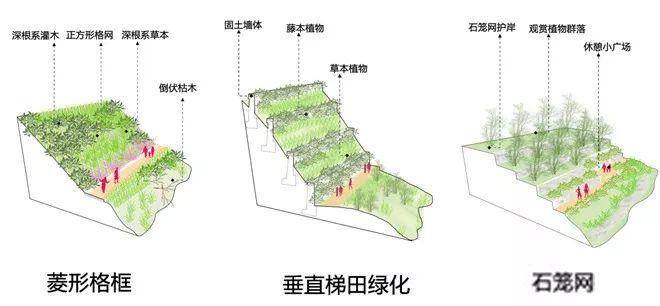 「新·案例」山城重庆的生态修复与城市设计 「新·案例」山城重庆的生态修复与城市设计
