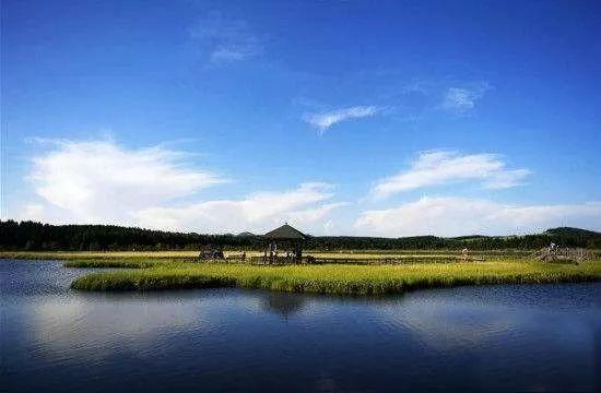 #观点杂谈#建立生态保护修复基金的几点建议