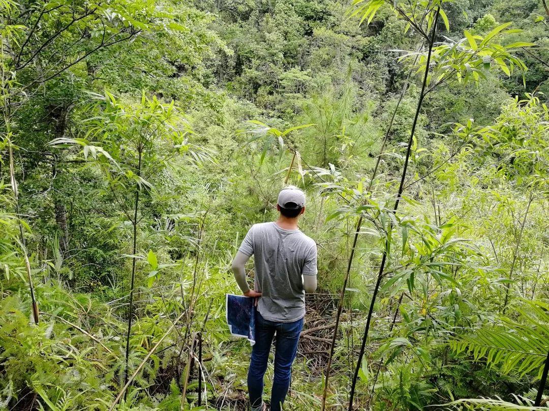 整治事业部：自然资源的美容师，生态修复的践行者