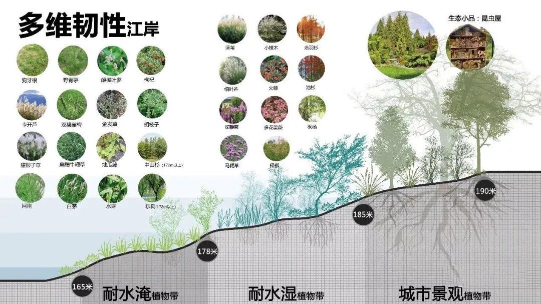 「新·案例」山城重庆的生态修复与城市设计 「新·案例」山城重庆的生态修复与城市设计