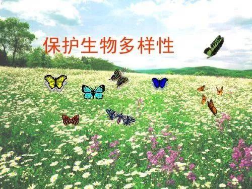 #观点杂谈#打赢耕地保护督察攻坚战