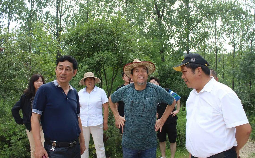 堰河再出发 堰河再出发