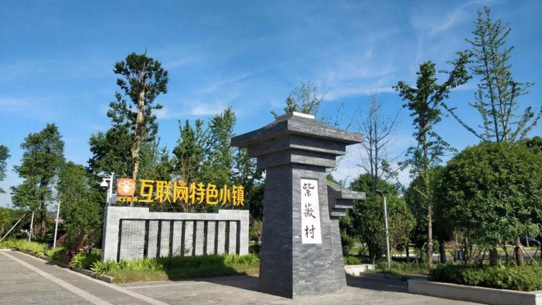 风向︱助力乡村振兴，紫薇村“多规合一”村庄规划推进会顺利召开