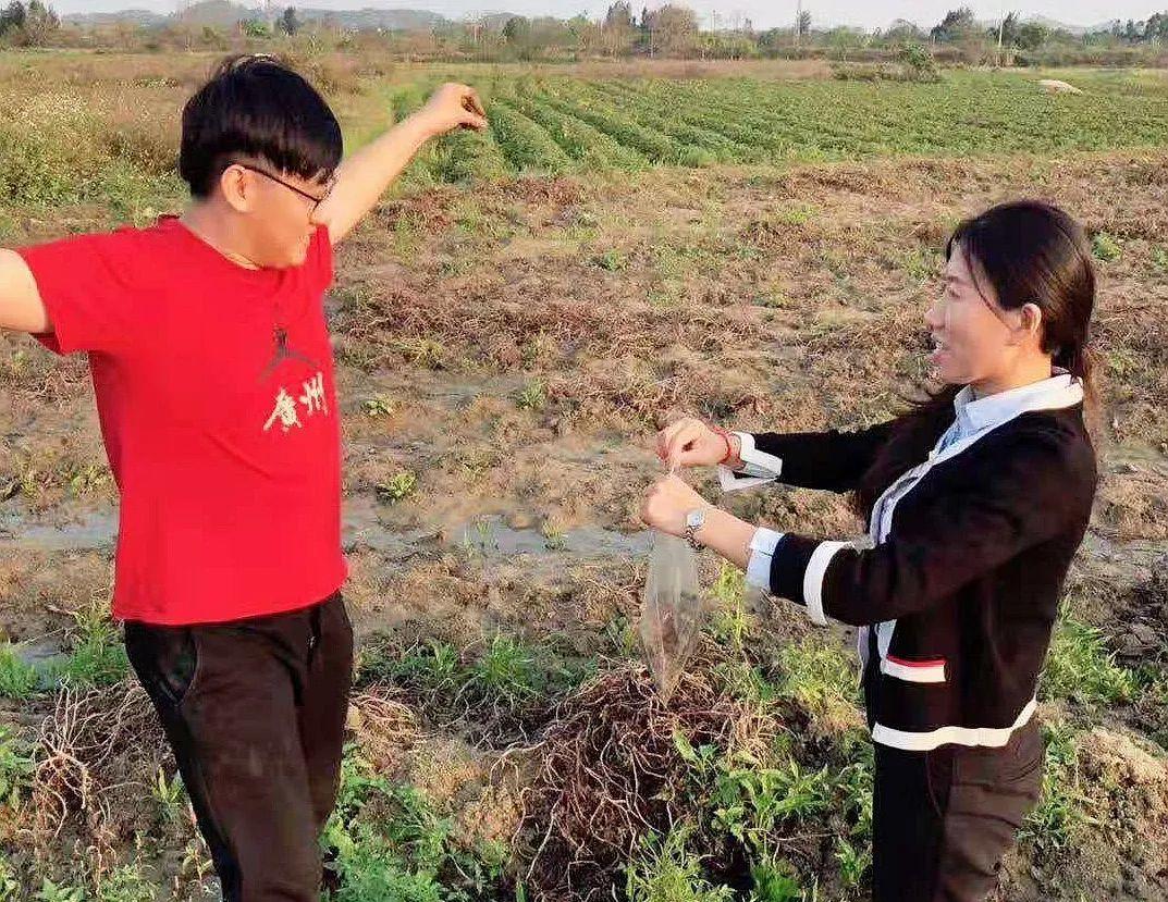 整治事业部：自然资源的美容师，生态修复的践行者