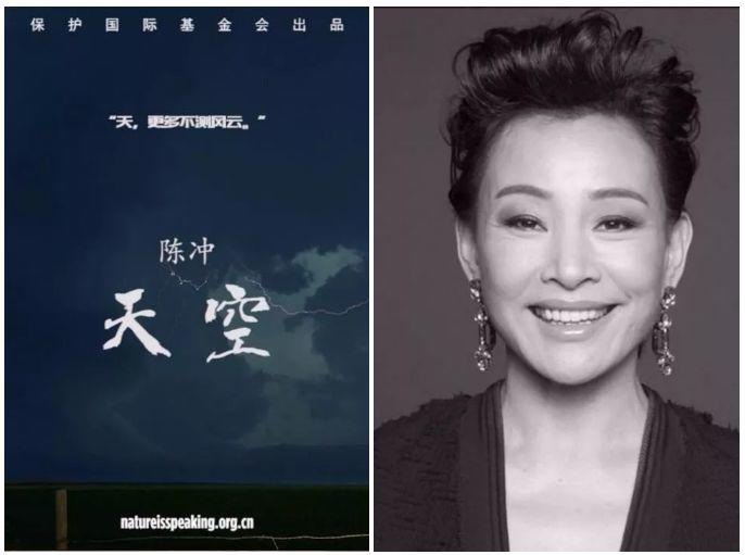 #特别关注#蒋雯丽、姜文、葛优、陈建斌、周迅、梁朝伟、陈冲等大咖云集，为大自然发声