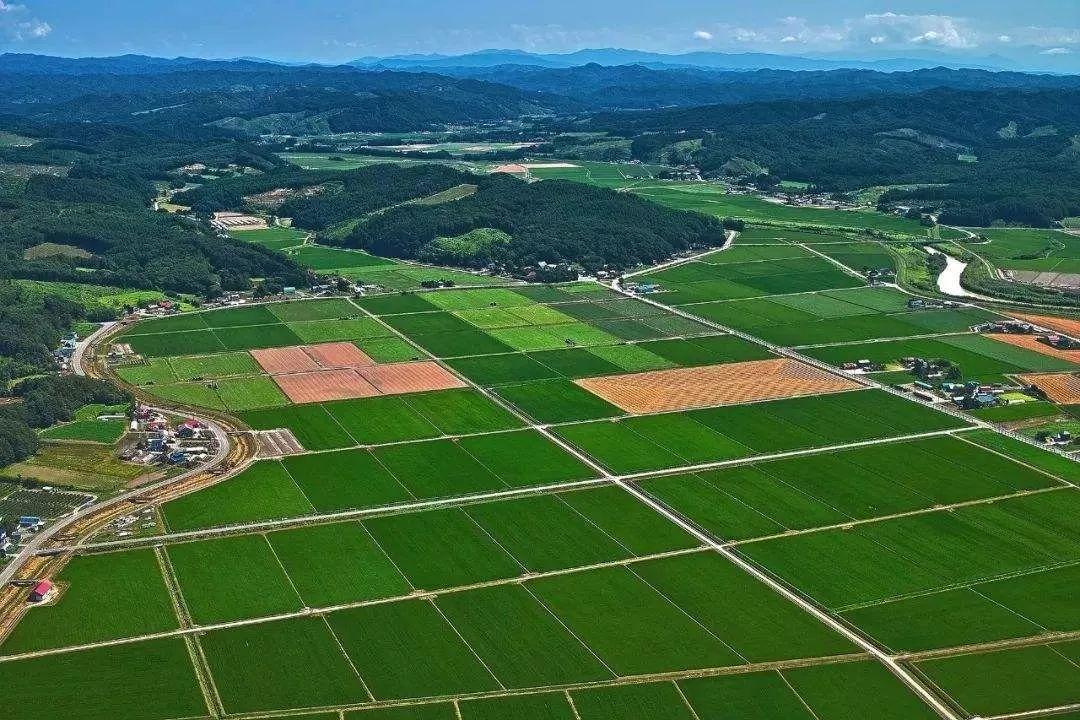 #头条要闻#财政部就土地增值税征求意见，关注集体土地开发