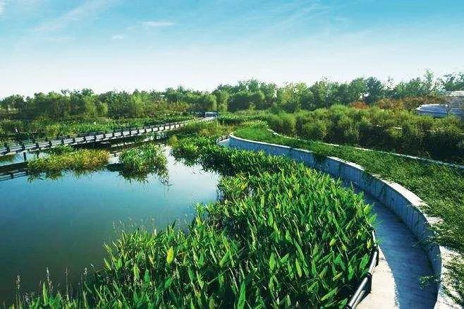 不同空间层次的城市水环境保障规划研究