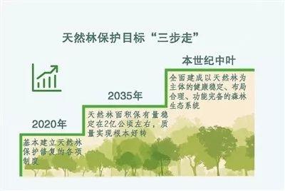 我国天然林将迎来最严格管制