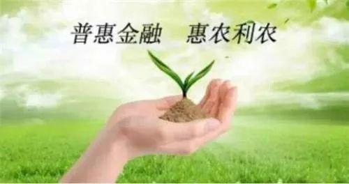 韩俊:中国“三农”问题的症结与政策展望