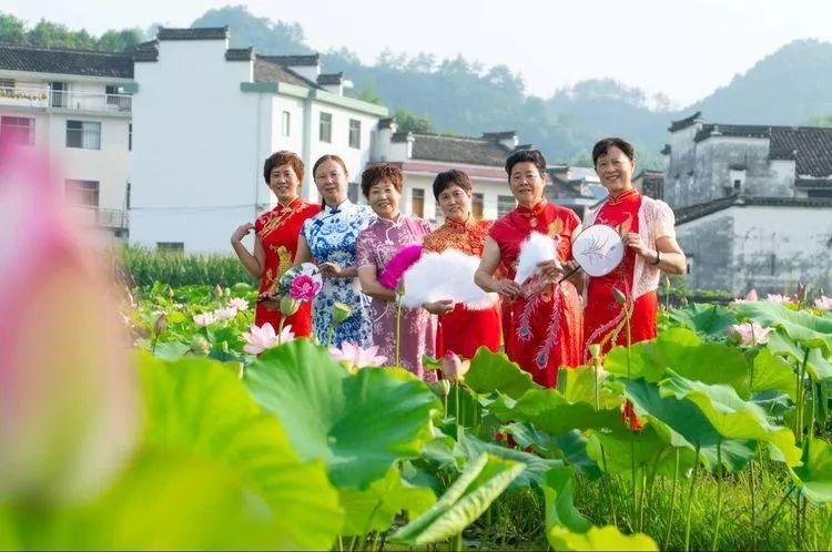 莲蓬采摘季 | 赏荷花，采莲蓬！绩溪县原来还有这种好地方，地址就在……
