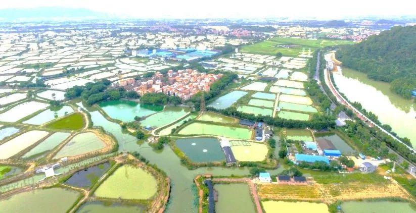研究︱国土整治与生态修复系列之一：空间治理视角下对水生态保护与修复的简析