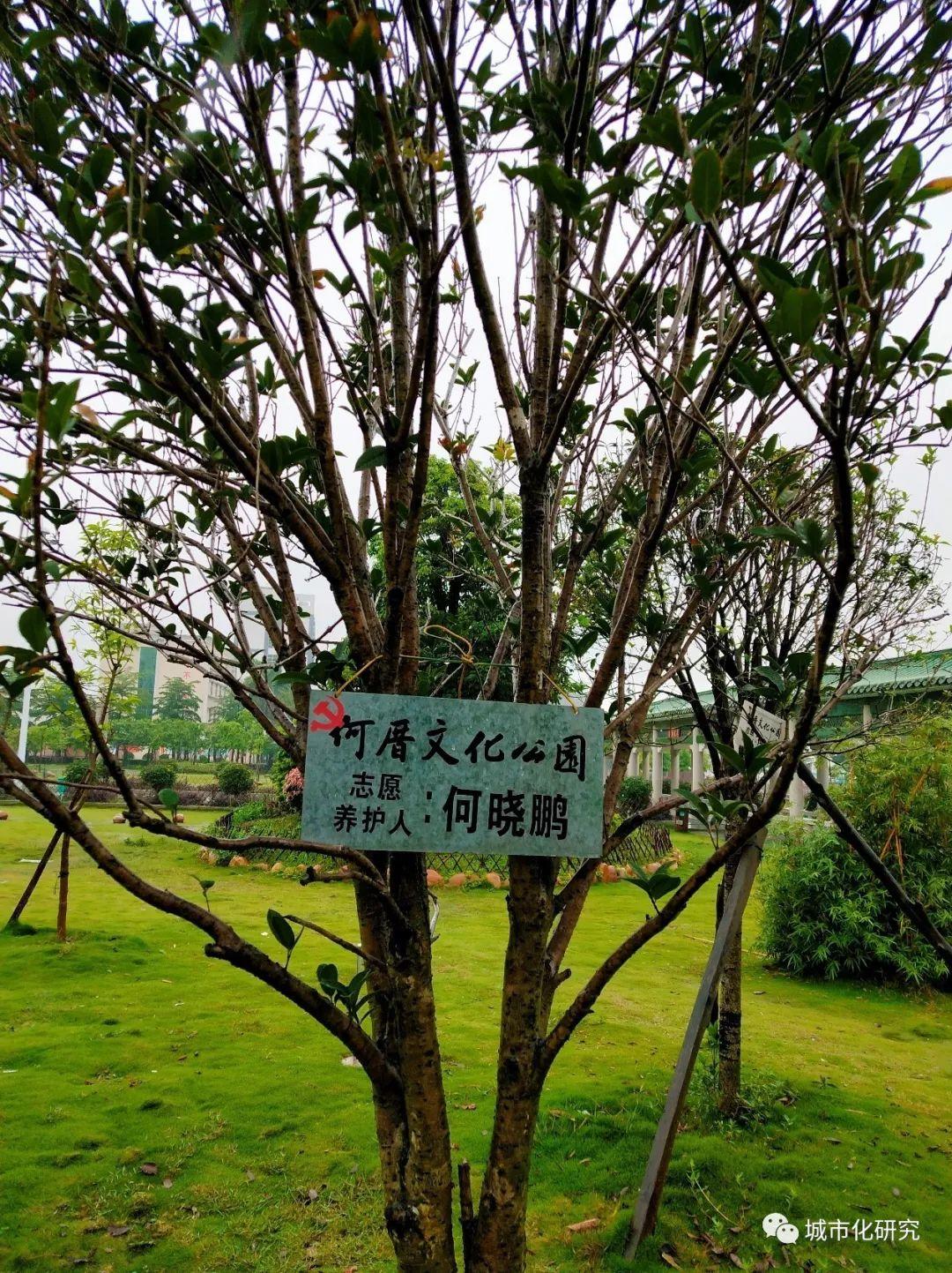 【乡村振兴】青年是乡村治理中的新乡贤——来自揭阳市何厝村的案例