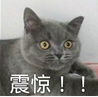 我们在雍和宫大街的493天