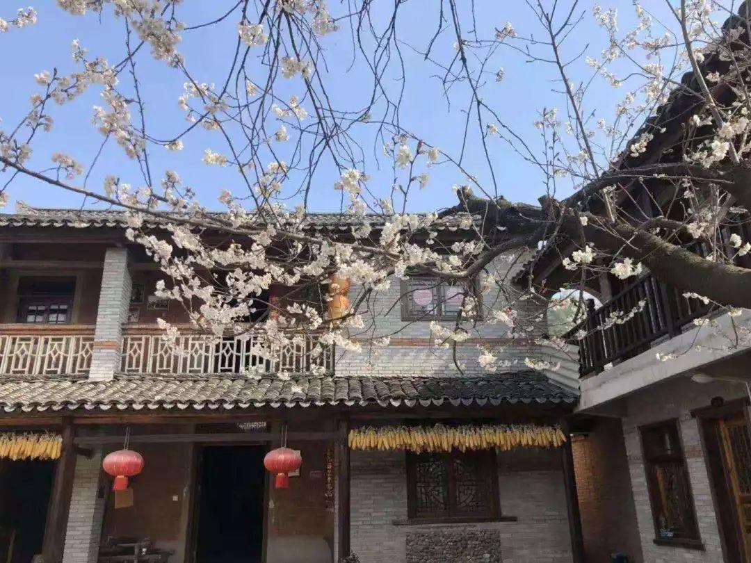 农民房子啥样的？
