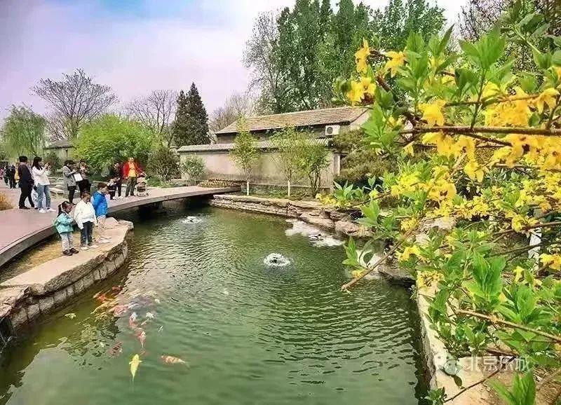 老胡同 · 新生活 | 壮丽70年,前门老胡同展开新画卷 老胡同 · 新生活 | 壮丽70年,前门老胡同展开新画卷