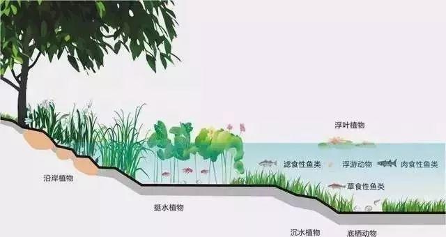 不同空间层次的城市水环境保障规划研究