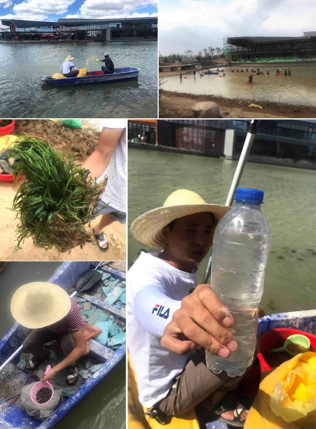 一座公园如何表达城市的情绪？