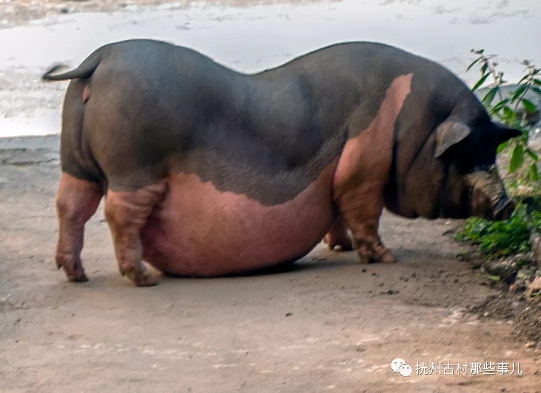 ​乐安老街：最真人间烟火味