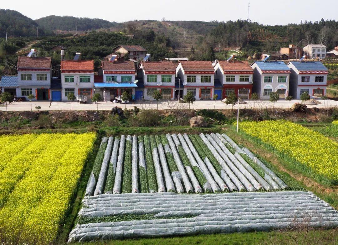 集体经营性建设用地正式入市 | 新《土地管理法》