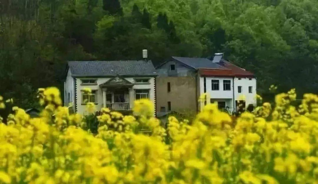 郭晓鸣等:传统农区宅基地“三权分置”路径研究