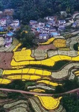 满足室外婚礼外加家庭旅游，这地方最合适！