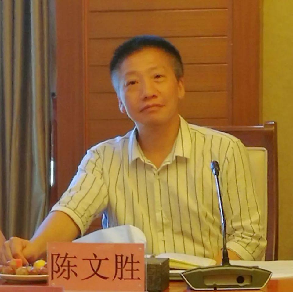 陈文胜:乡村治理的关键是放活乡镇