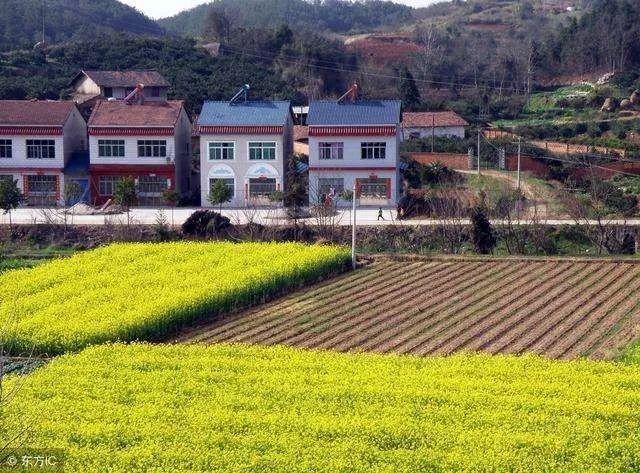 韩俊:中国“三农”问题的症结与政策展望