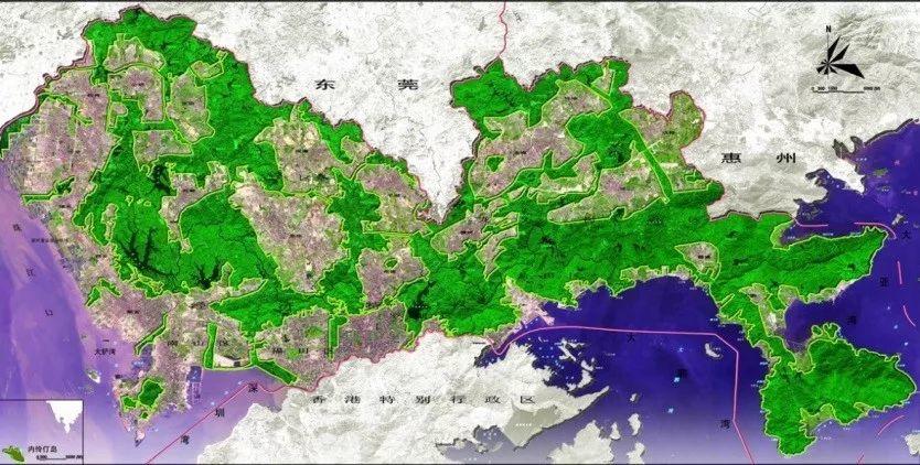 「新·观点」城市40年，深圳先行示范再出发