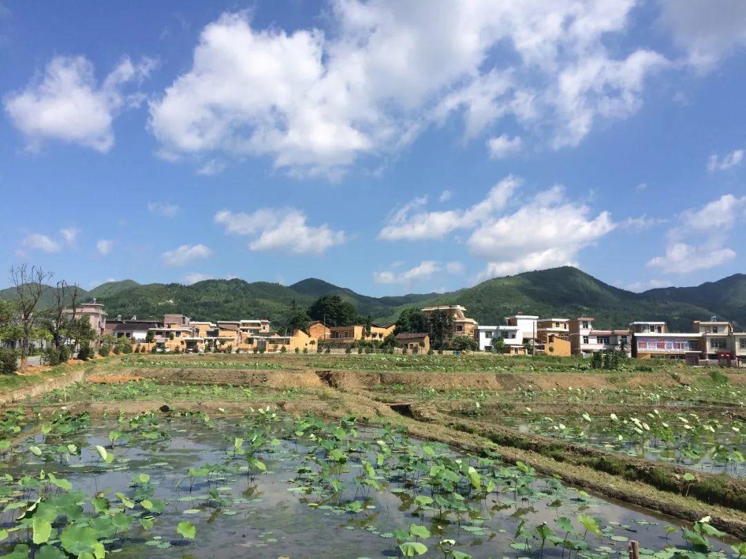 百年碎片化的乡建