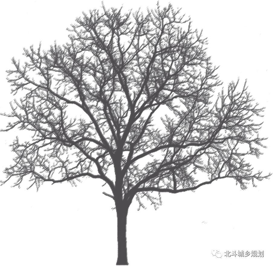 随行潜山,探寻万涧 随行潜山,探寻万涧