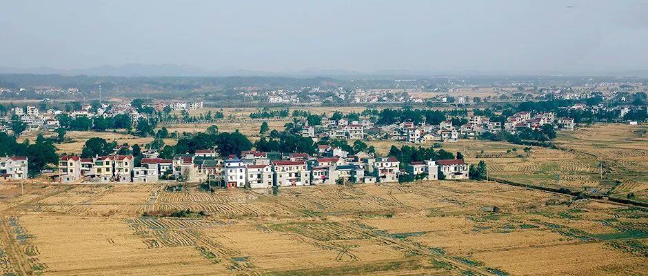 政策︱自然资源部印发《土地估价行业“双随机、一公开”监督检查实施细则》