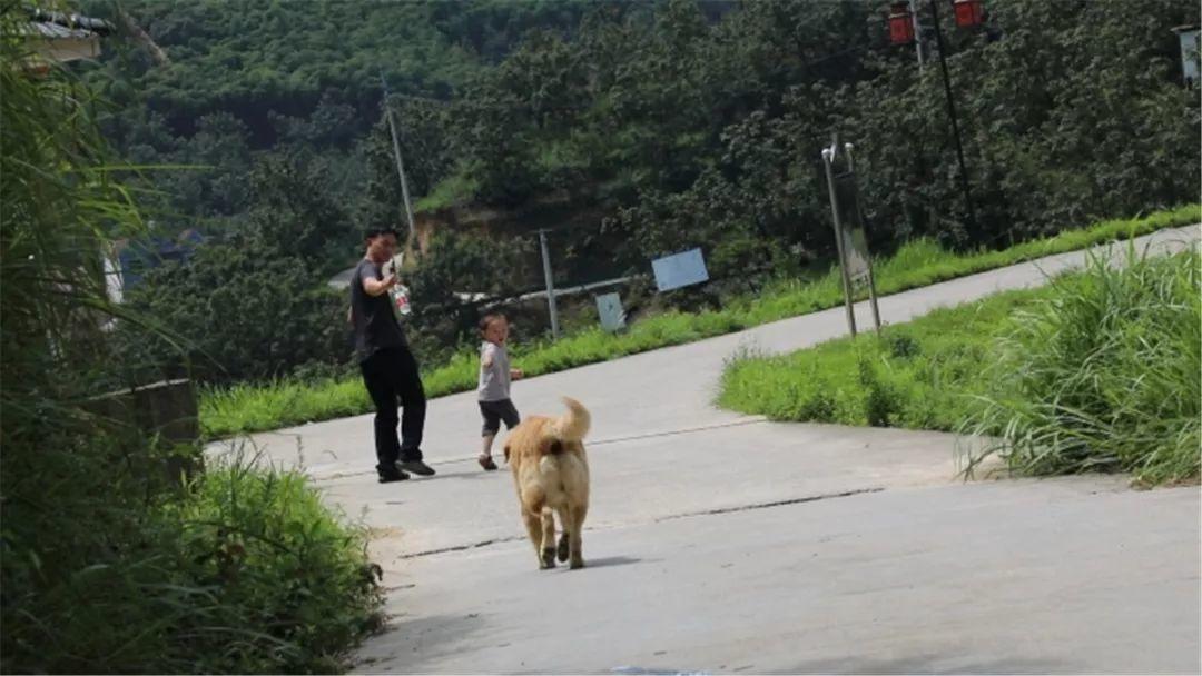 聚焦省界民族乡 | 小喻老板：借农庄，撑起主客之间的那扇窗