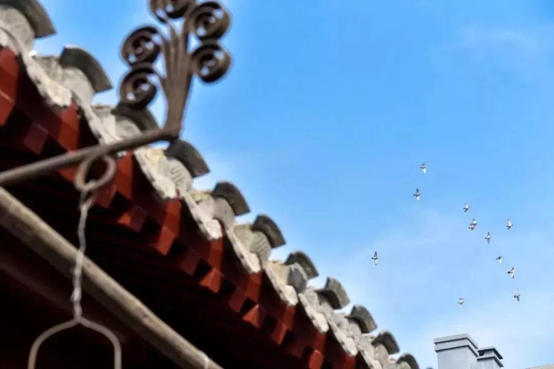 老胡同 · 新生活 | 壮丽70年,前门老胡同展开新画卷 老胡同 · 新生活 | 壮丽70年,前门老胡同展开新画卷