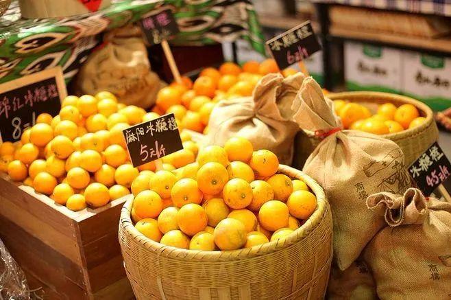 前沿对话|①坚守农产品数量保障底线补齐粮食安全短板