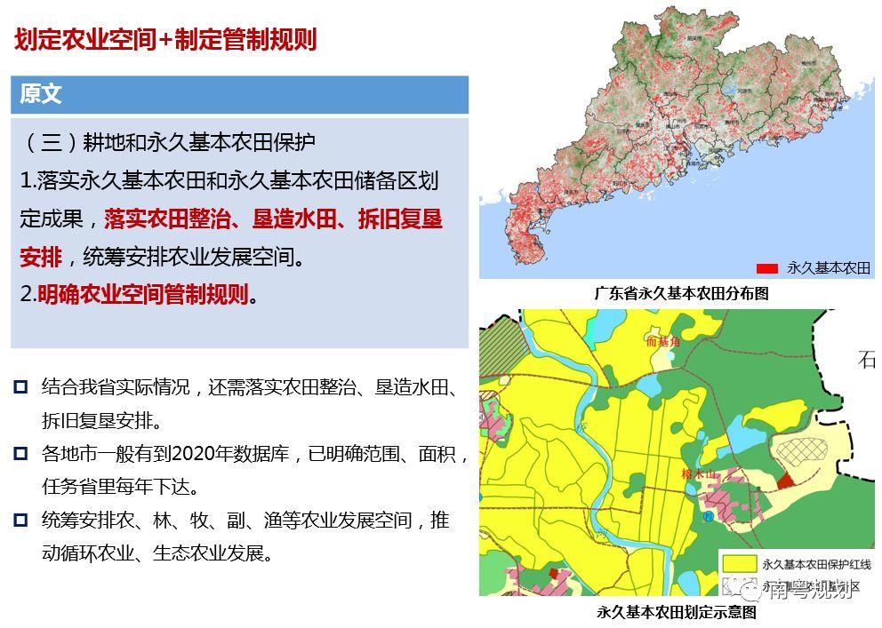 规划编制：国土空间规划背景下的村庄规划如何编制——广东省编制探索