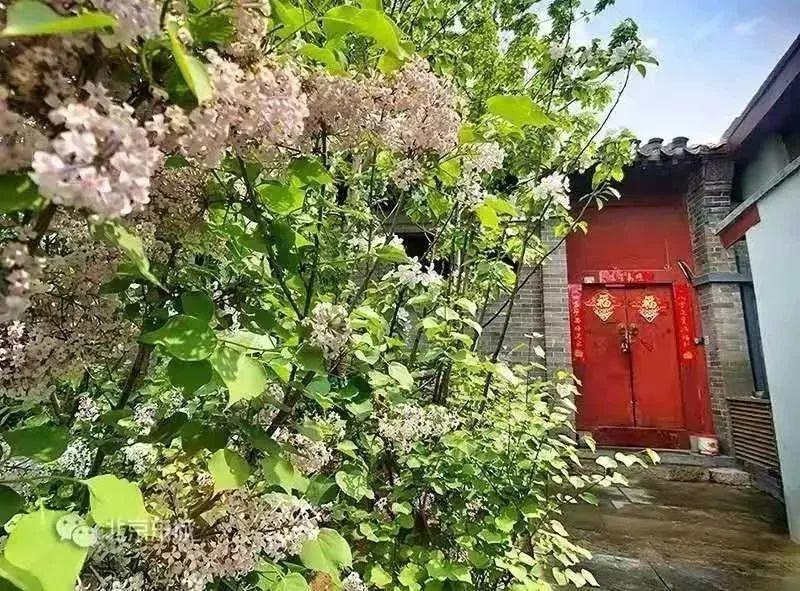 老胡同 · 新生活 | 壮丽70年,前门老胡同展开新画卷 老胡同 · 新生活 | 壮丽70年,前门老胡同展开新画卷