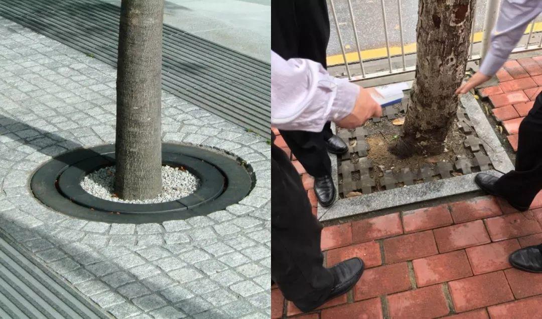 “路网微改造”案例之国内篇:绿色、活力、整洁、有序 “路网微改造”案例之国内篇:绿色、活力、整洁、有序