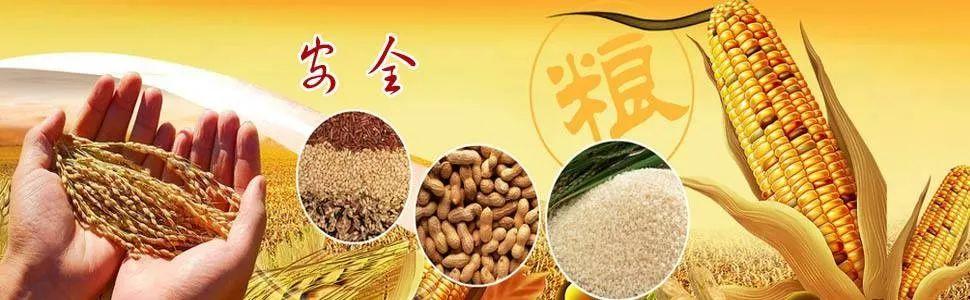 前沿对话|①坚守农产品数量保障底线补齐粮食安全短板