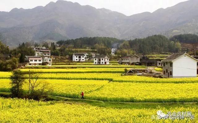 十年之后，你还会回到你的老家“农村”吗？