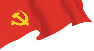 让党旗高高飘扬｜规划资源临安分局党员突击队深入灾区助力重建