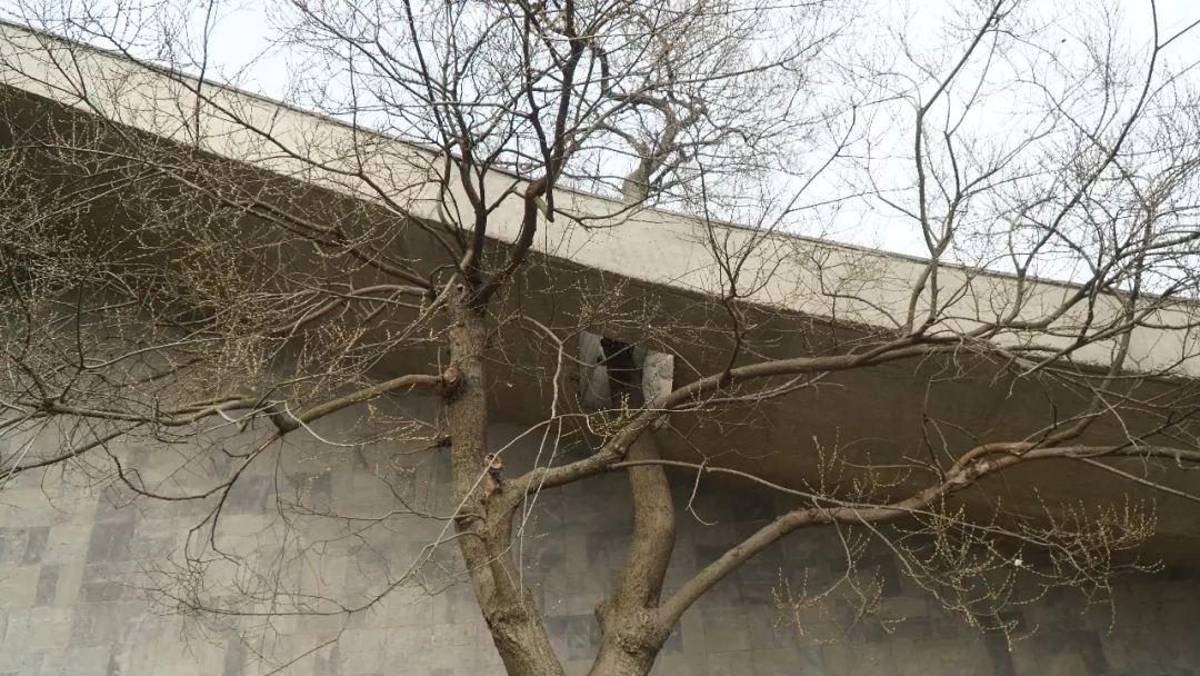 中国建筑学教育基地在南京！这里让你一天看遍霍尔、矶崎新、王澍、妹岛和世......