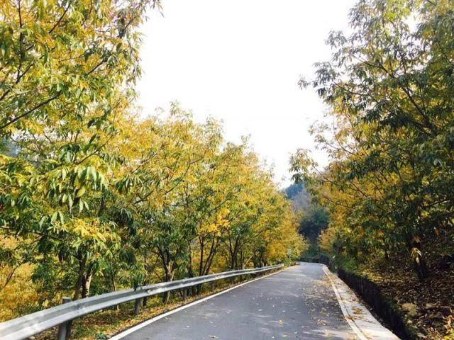 初秋旅行“第一弹”，真正会玩的人都去了这些地方！