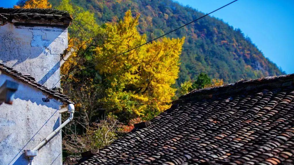 初秋旅行“第一弹”，真正会玩的人都去了这些地方！