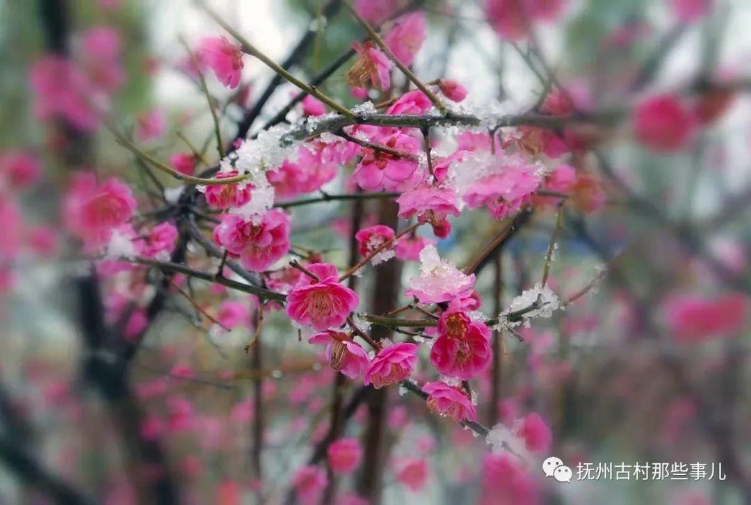 侯坊村：荒度平成继禹功