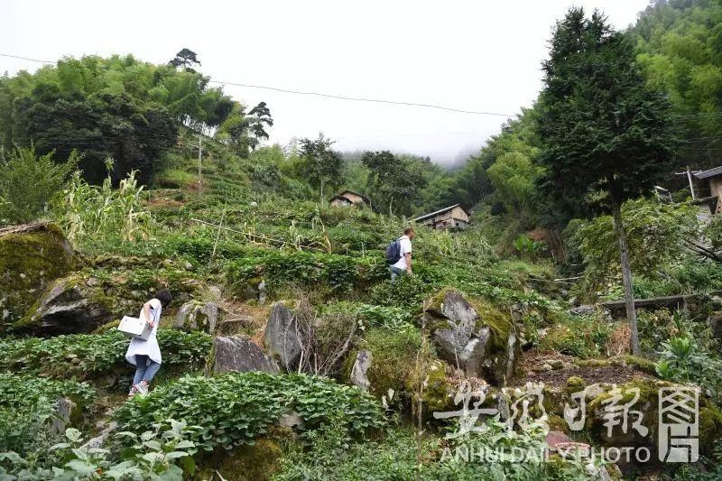 百医驻村 | 休宁县徐家村和清溪村的驻村医生张建明、徐晓婵夫妻