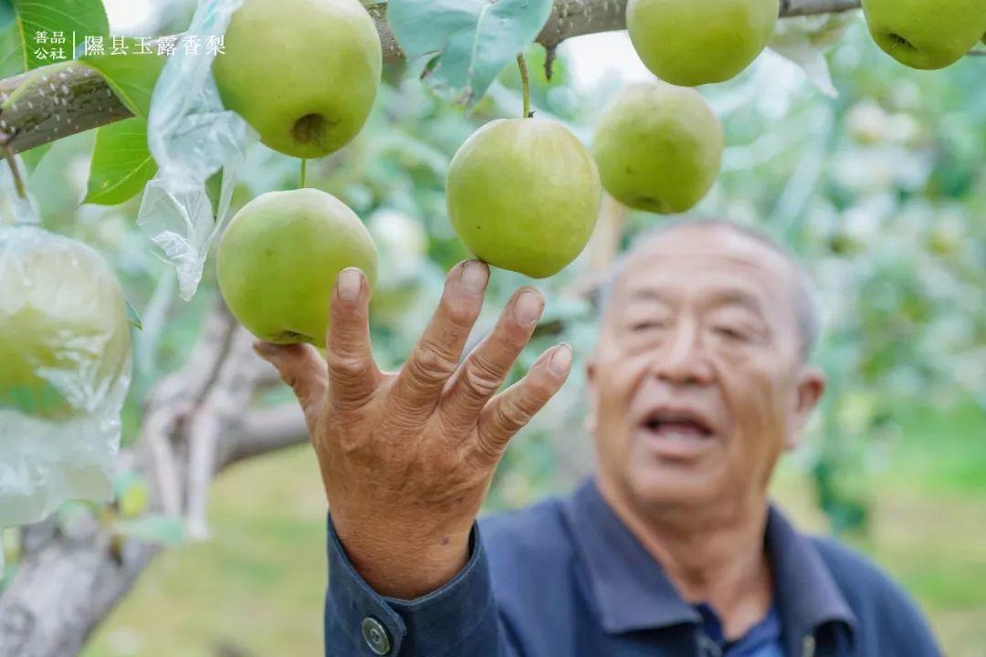 有人在困难里认输，有人在苦难里涅槃