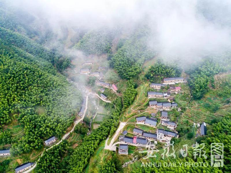 百医驻村 | 休宁县徐家村和清溪村的驻村医生张建明、徐晓婵夫妻